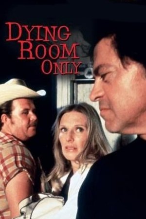 Watch Free Dying Room Only (1973)