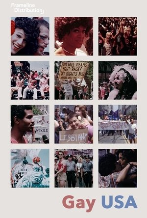 Watch Free Gay USA (1978)