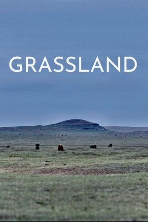 Watch Free Grassland (2023)