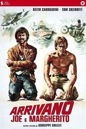Watch Free Run, Run, Joe (1974)