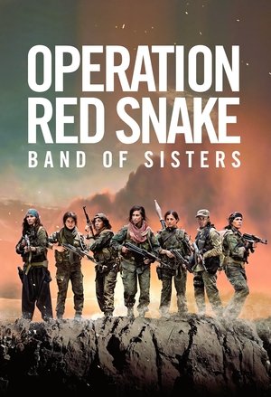 Watch Free Sisters in Arms (2019)