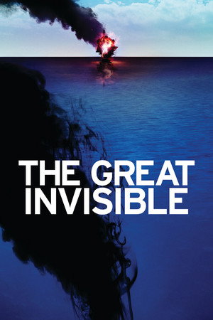 Watch Free The Great Invisible (2014)